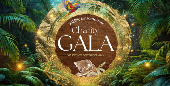 CWH_Gala_Event.png