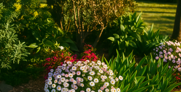 History in Bloom - Open Garden